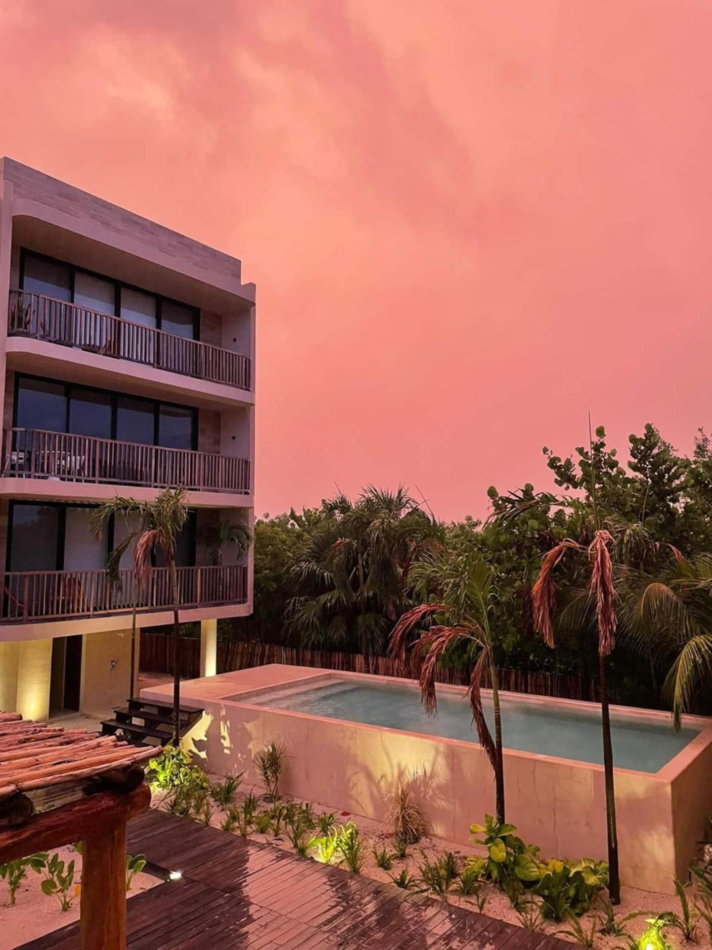 Ocean View Loft In Punta Cocos - C102 호텔 홀박스아일랜드 외부 사진