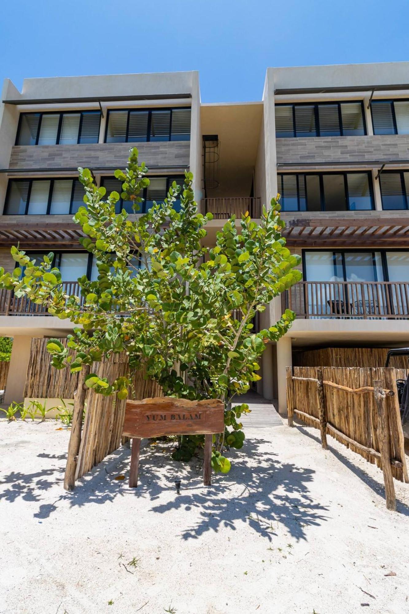 Ocean View Loft In Punta Cocos - C102 호텔 홀박스아일랜드 외부 사진